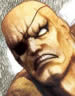 Sagat