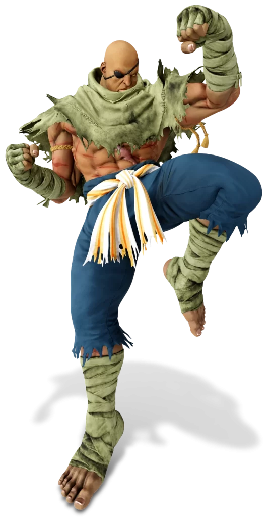 Sagat